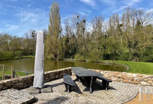 France mansions for sale pays de loire   - 17