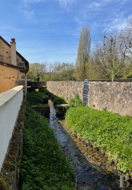 France mansions for sale pays de loire   - 15