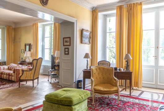 chateaux for sale France center val de loire   - 6