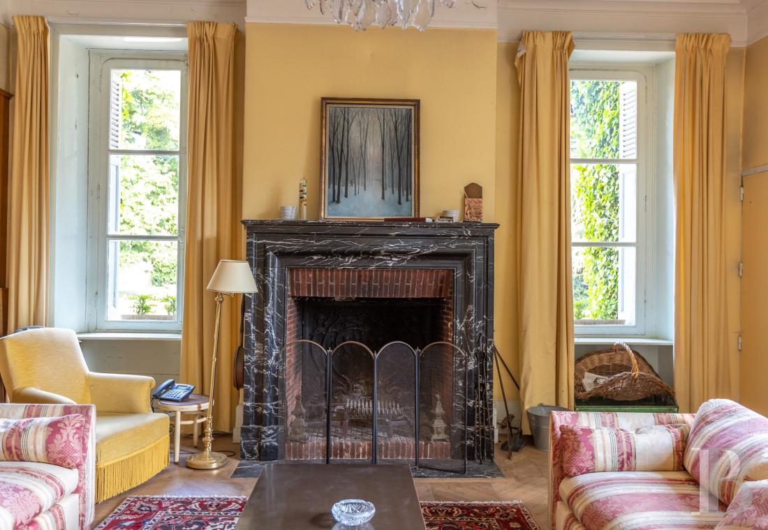 chateaux for sale France center val de loire   - 7