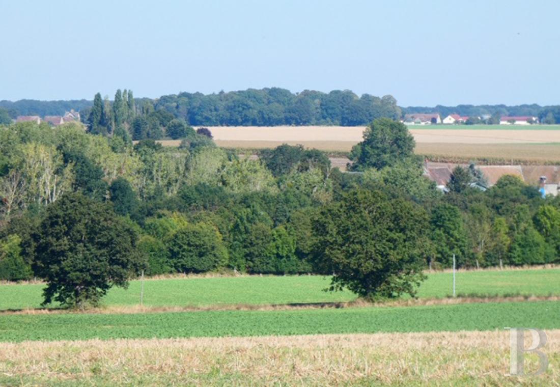 chateaux for sale France center val de loire   - 18