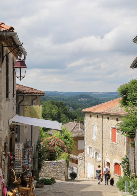 A 19th century mansion in a hamlet in Saint-Bertrand-de-Comminges, Haute-Garonne - photo  n°39