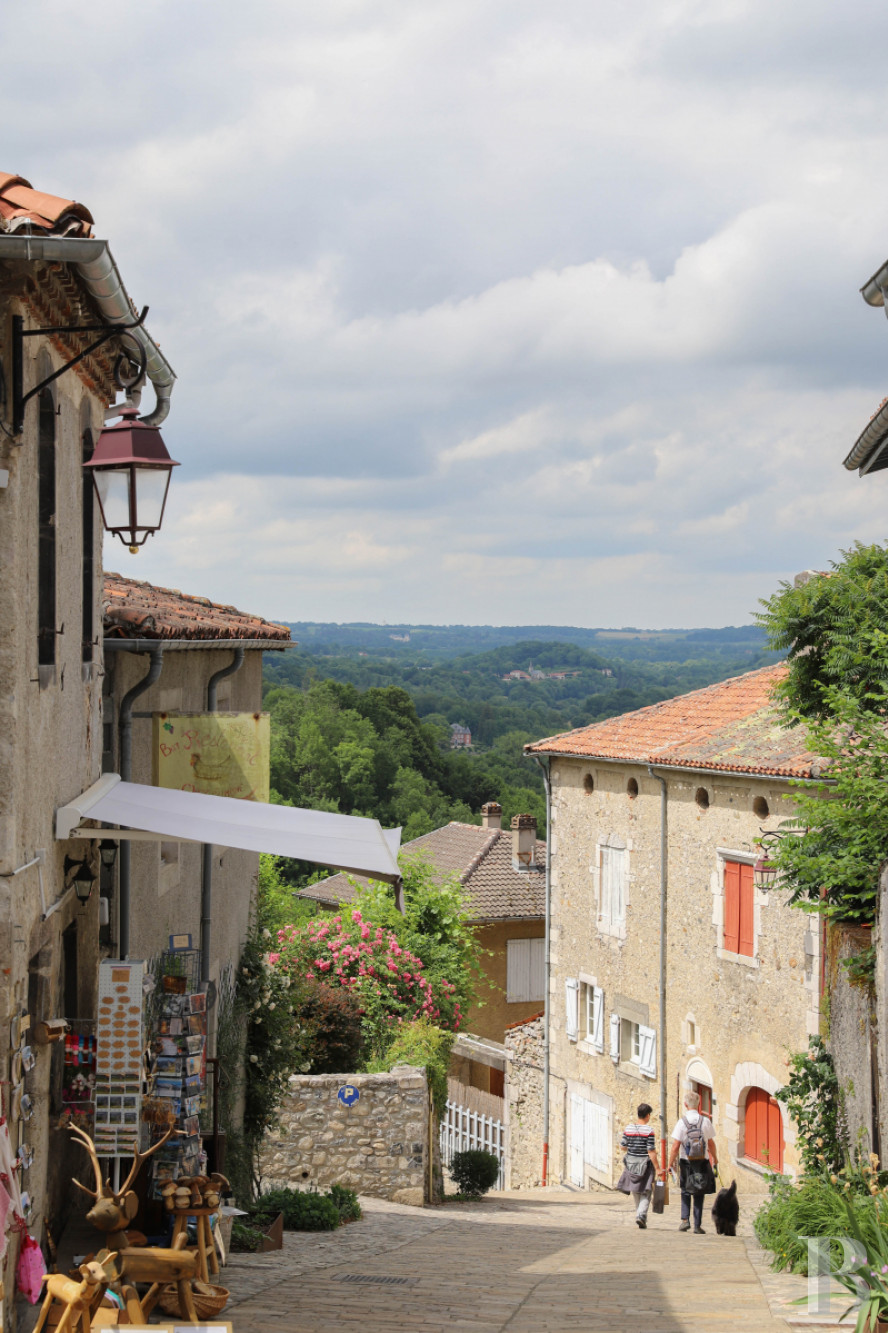A 19th century mansion in a hamlet in Saint-Bertrand-de-Comminges, Haute-Garonne - photo  n°38