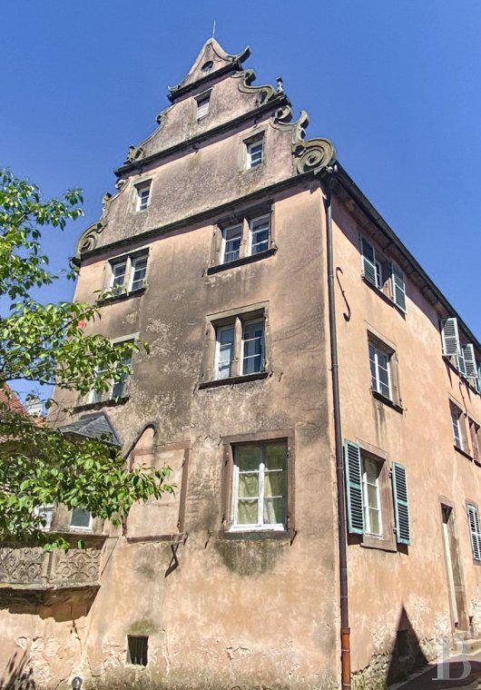 castles for sale France alsace   - 2