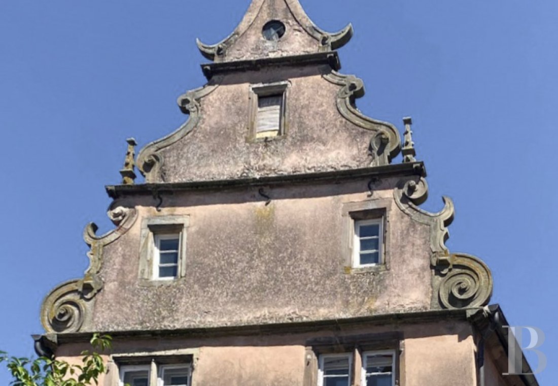 castles for sale France alsace   - 1