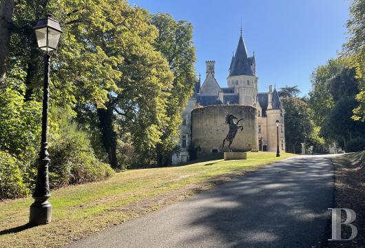 chateaux a vendre centre val de loire   - 9