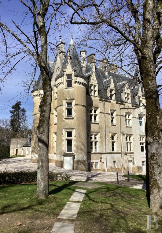 chateaux a vendre centre val de loire   - 5