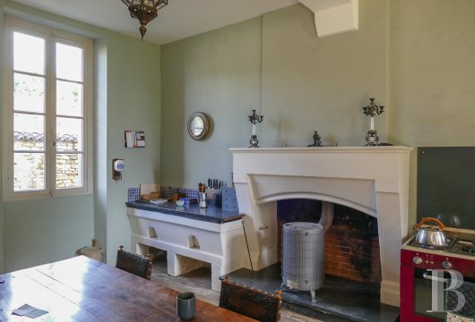 chateaux a vendre poitou charentes   - 8