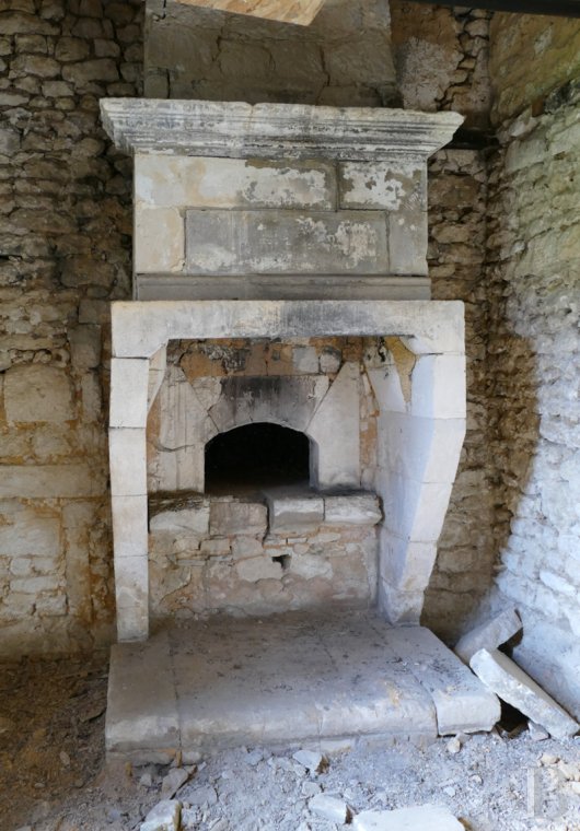 chateaux a vendre poitou charentes   - 14