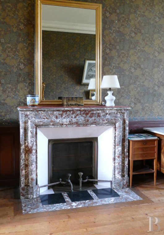 chateaux a vendre poitou charentes   - 10