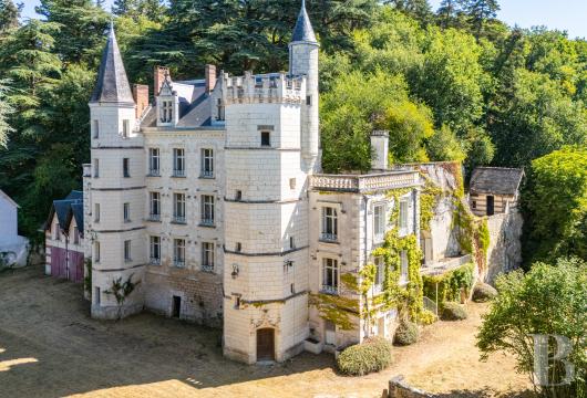 chateaux for sale France center val de loire   - 5