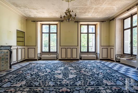 chateaux for sale France center val de loire   - 10