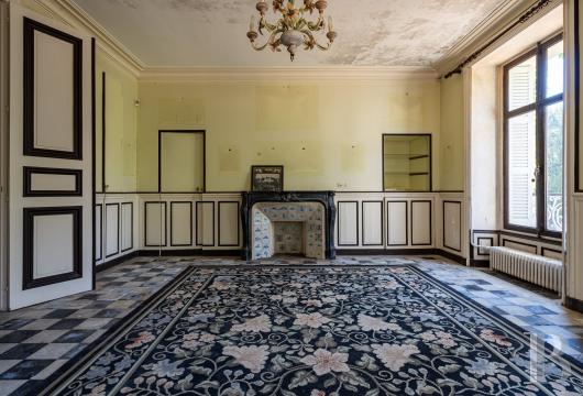 chateaux for sale France center val de loire   - 8