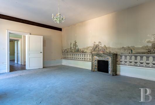 chateaux for sale France center val de loire   - 11