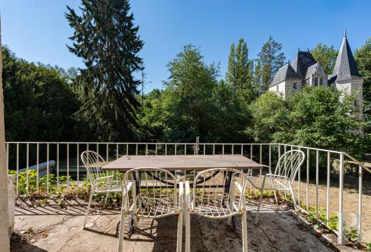 chateaux for sale France center val de loire   - 17