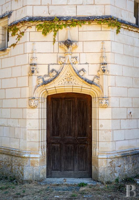 chateaux for sale France center val de loire   - 19