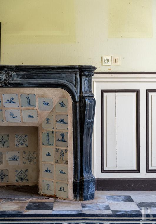 chateaux for sale France center val de loire   - 13