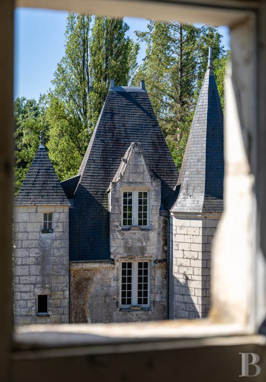 chateaux for sale France center val de loire   - 7