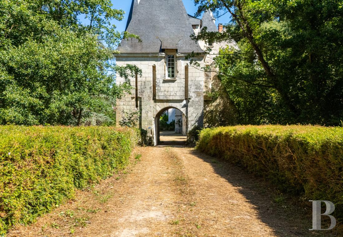 chateaux for sale France center val de loire   - 2
