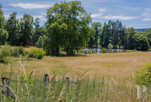 chateaux a vendre bourgogne   - 19