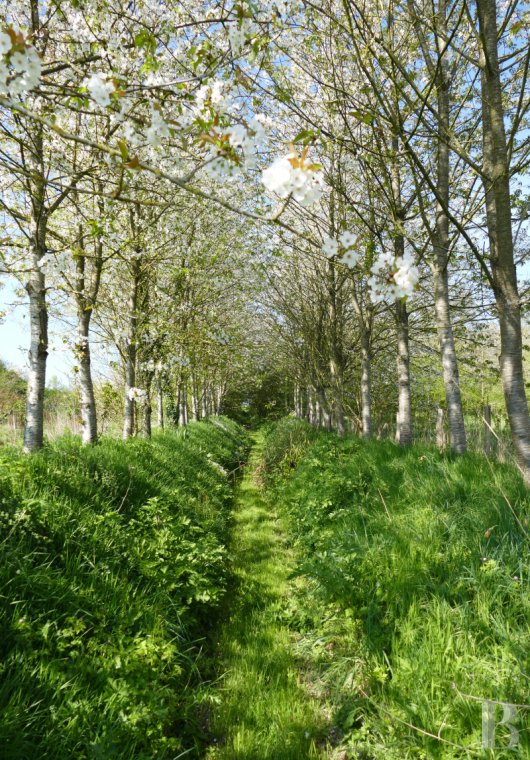 France mansions for sale brittany   - 17