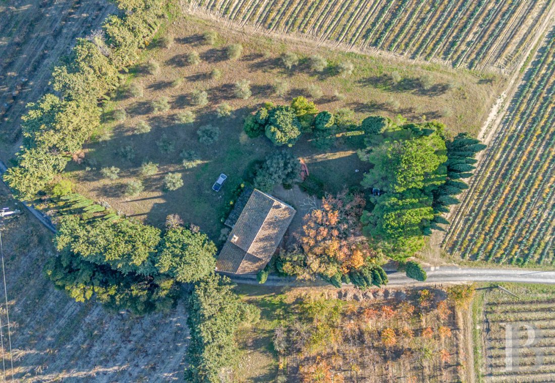 mas a vendre paca   - 16