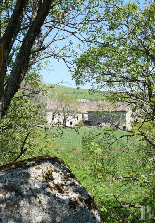 french mas and farms for sale languedoc roussillon   - 7