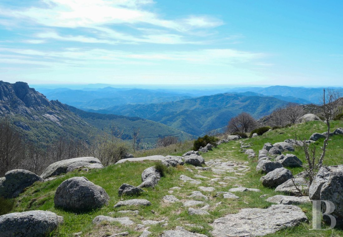 french mas and farms for sale languedoc roussillon   - 16