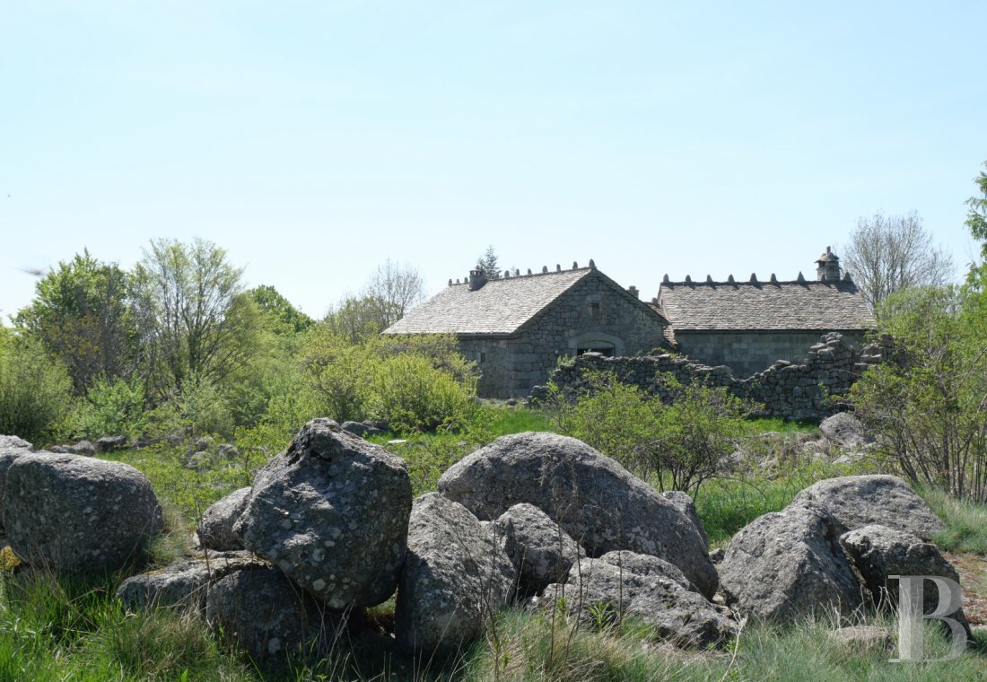 french mas and farms for sale languedoc roussillon   - 3