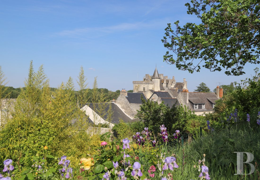 An apartment in a former 15th century bargeman's house in Montsoreau, Maine-et-Loire - photo  n°18