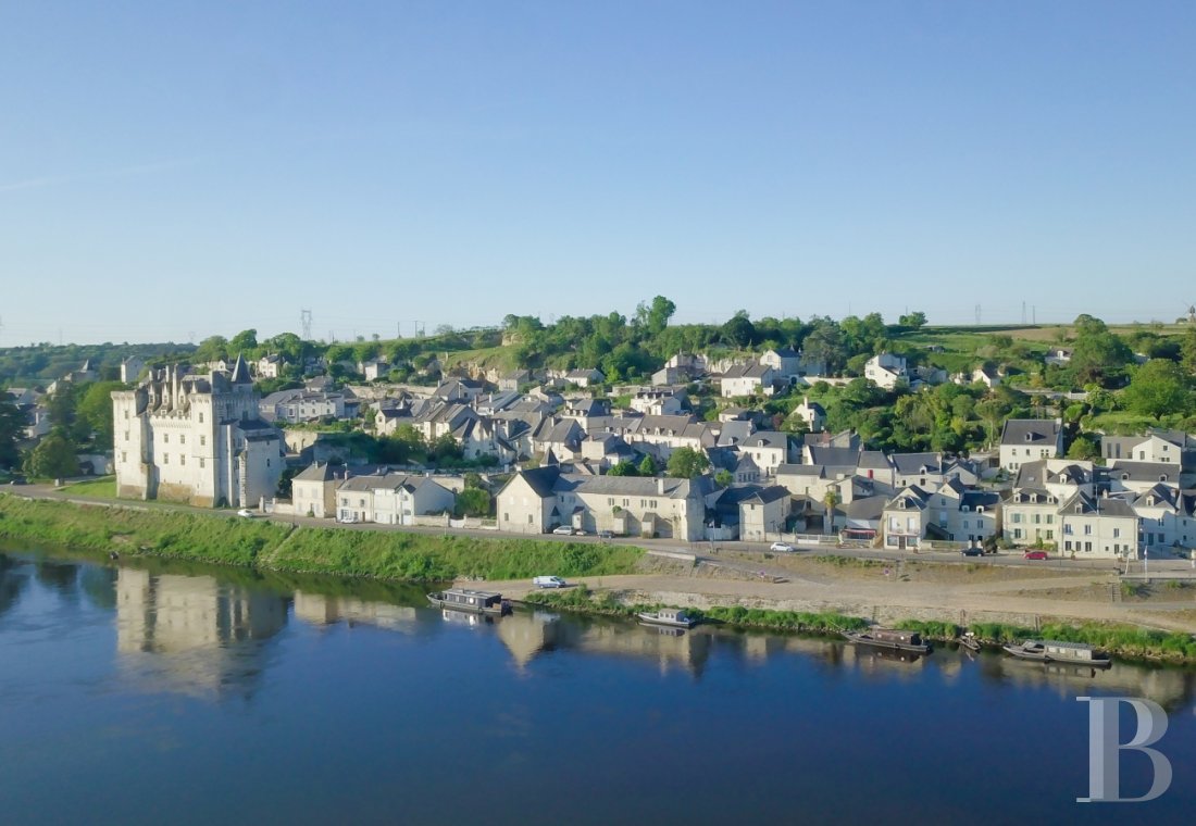 An apartment in a former 15th century bargeman's house in Montsoreau, Maine-et-Loire - photo  n°24