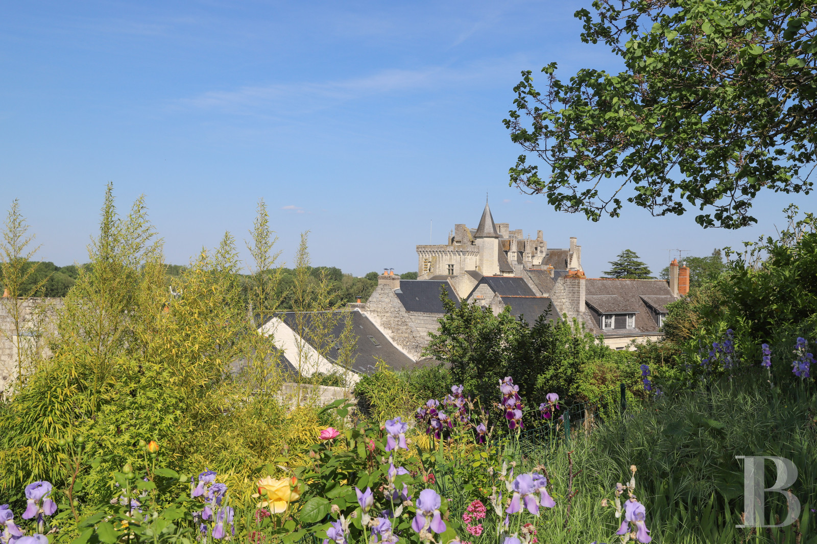 À Montsoreau, en Maine-et-Loire, un appartement dans une ancienne maison de mariniers du 15e siècle - photo  n°18