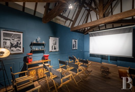 chateaux for sale France languedoc roussillon   - 15