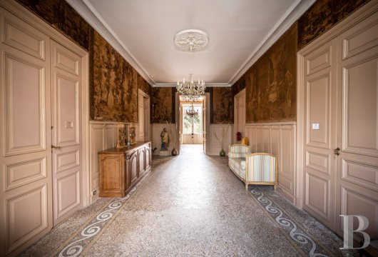 chateaux for sale France languedoc roussillon   - 9