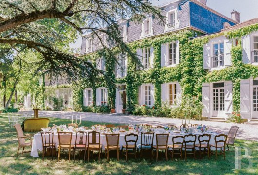 chateaux for sale France languedoc roussillon   - 3