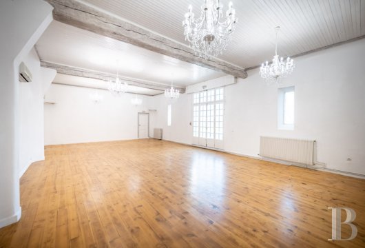 chateaux for sale France languedoc roussillon   - 18