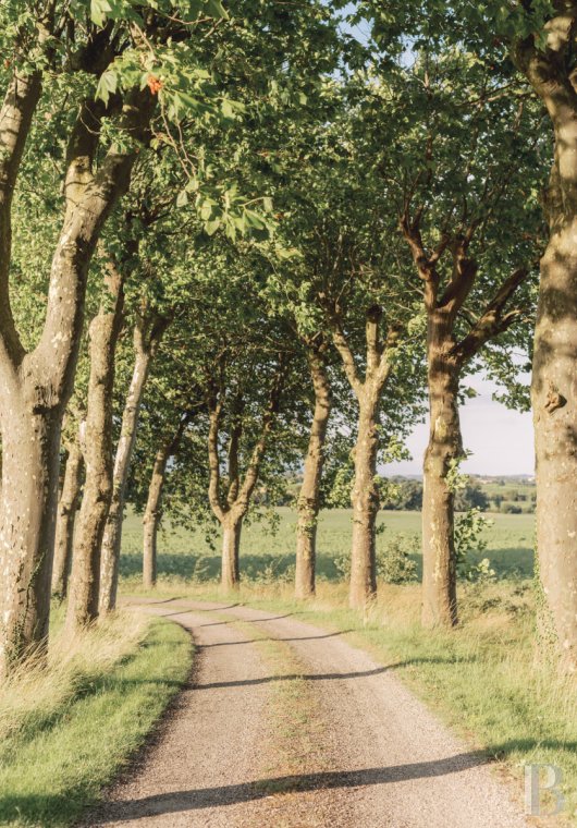 chateaux for sale France languedoc roussillon   - 20