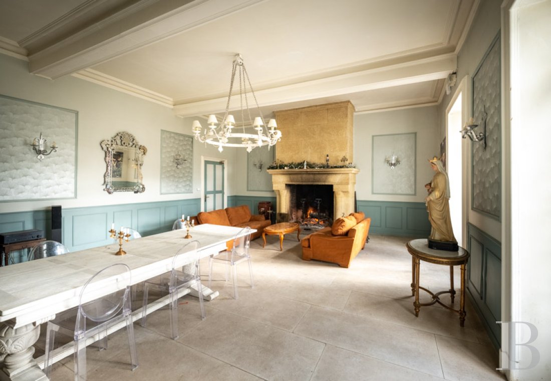 chateaux for sale France languedoc roussillon   - 6