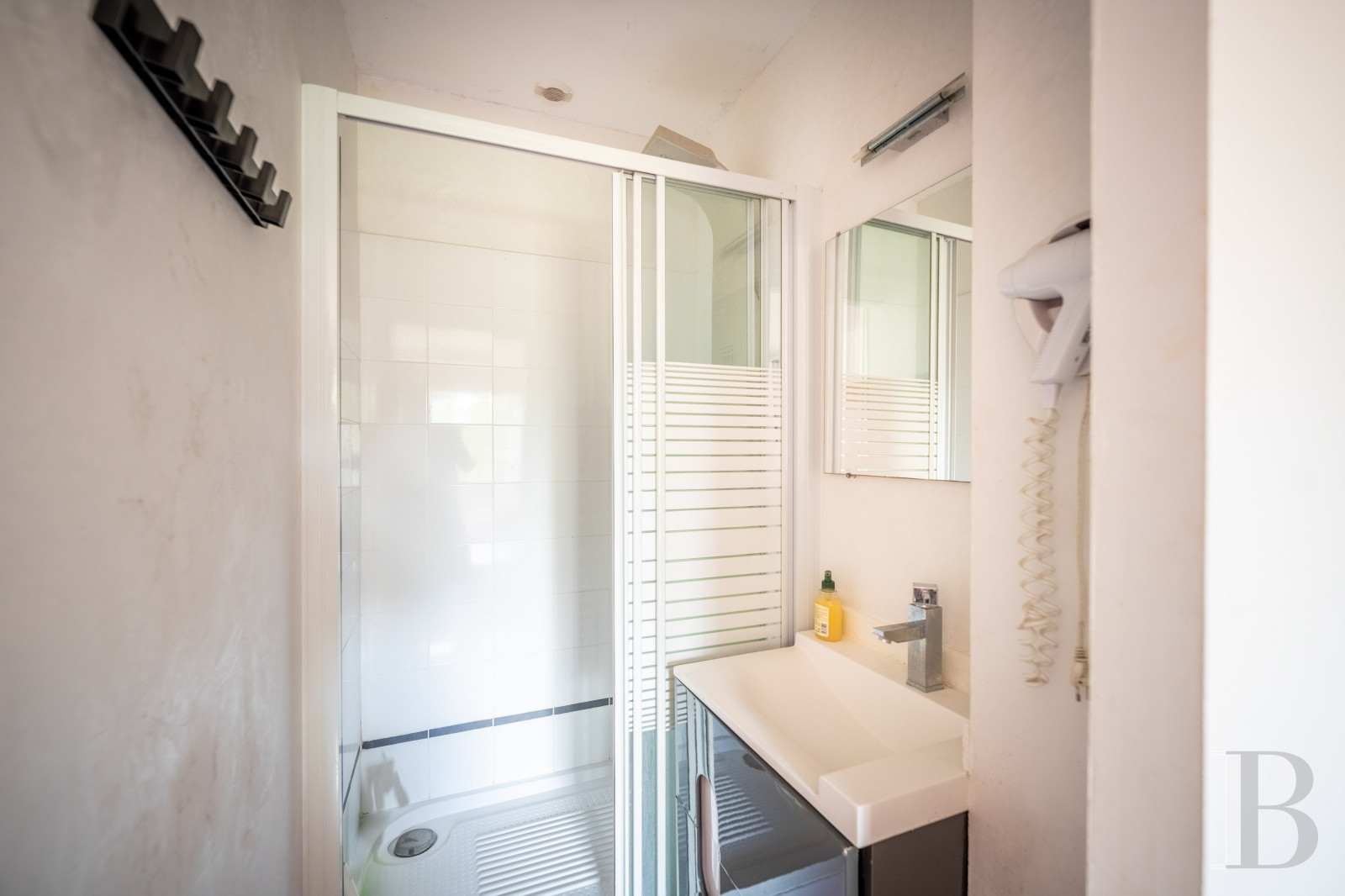 A 17th and 18th century Périgord manor house and its formal garden between Angoulême and Périgueux in the Dordogne - photo  n°31