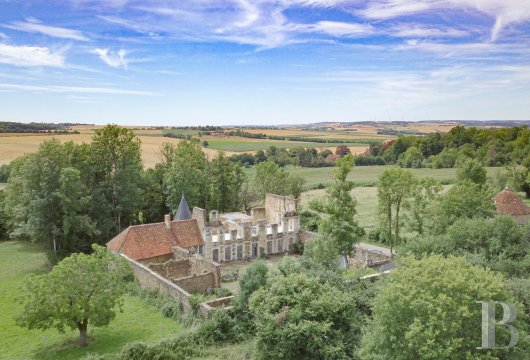 bourgogne - À 2h de Paris, en Bourgogne, en pays Poyaudin, un château médiéval confortable, et unique