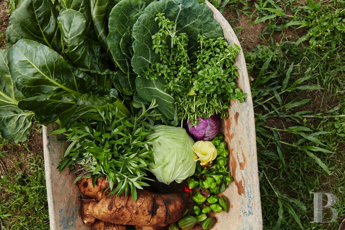 Au Brésil, dans l’État de São Paolo, une fazenda en autosubsistance dédiée à l’art et à la nature - photo  n°10