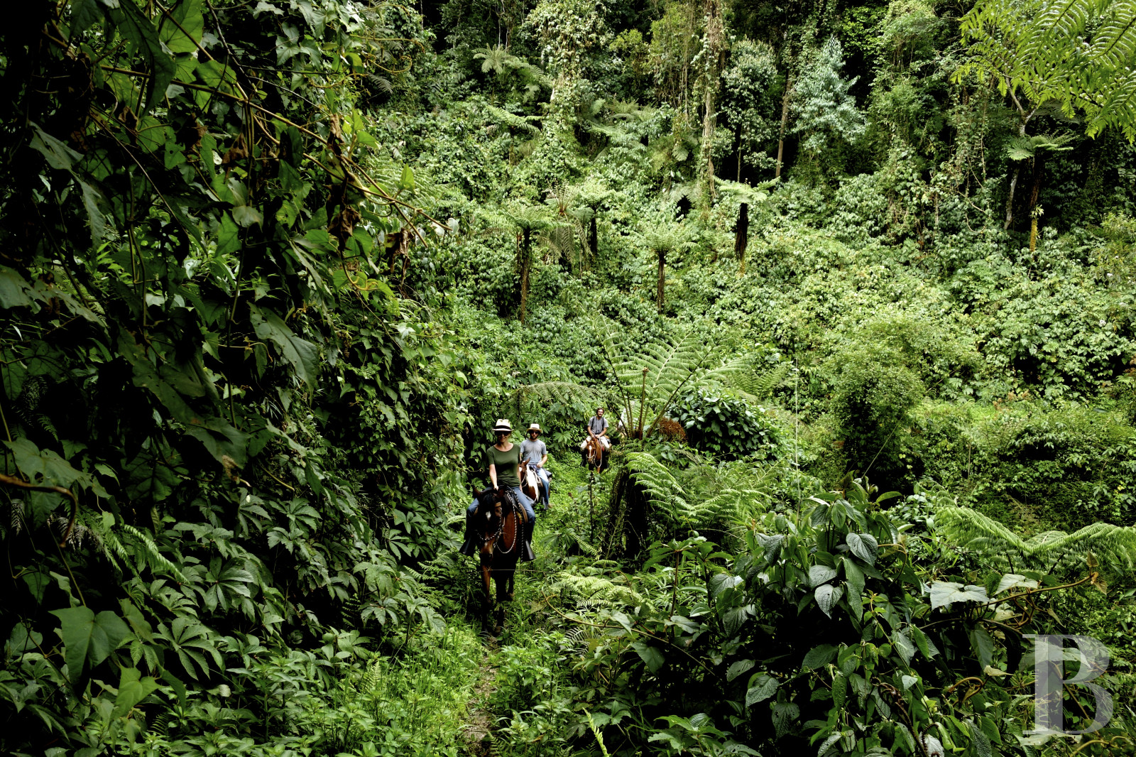 Au Brésil, dans l’État de São Paolo, une fazenda en autosubsistance dédiée à l’art et à la nature - photo  n°34