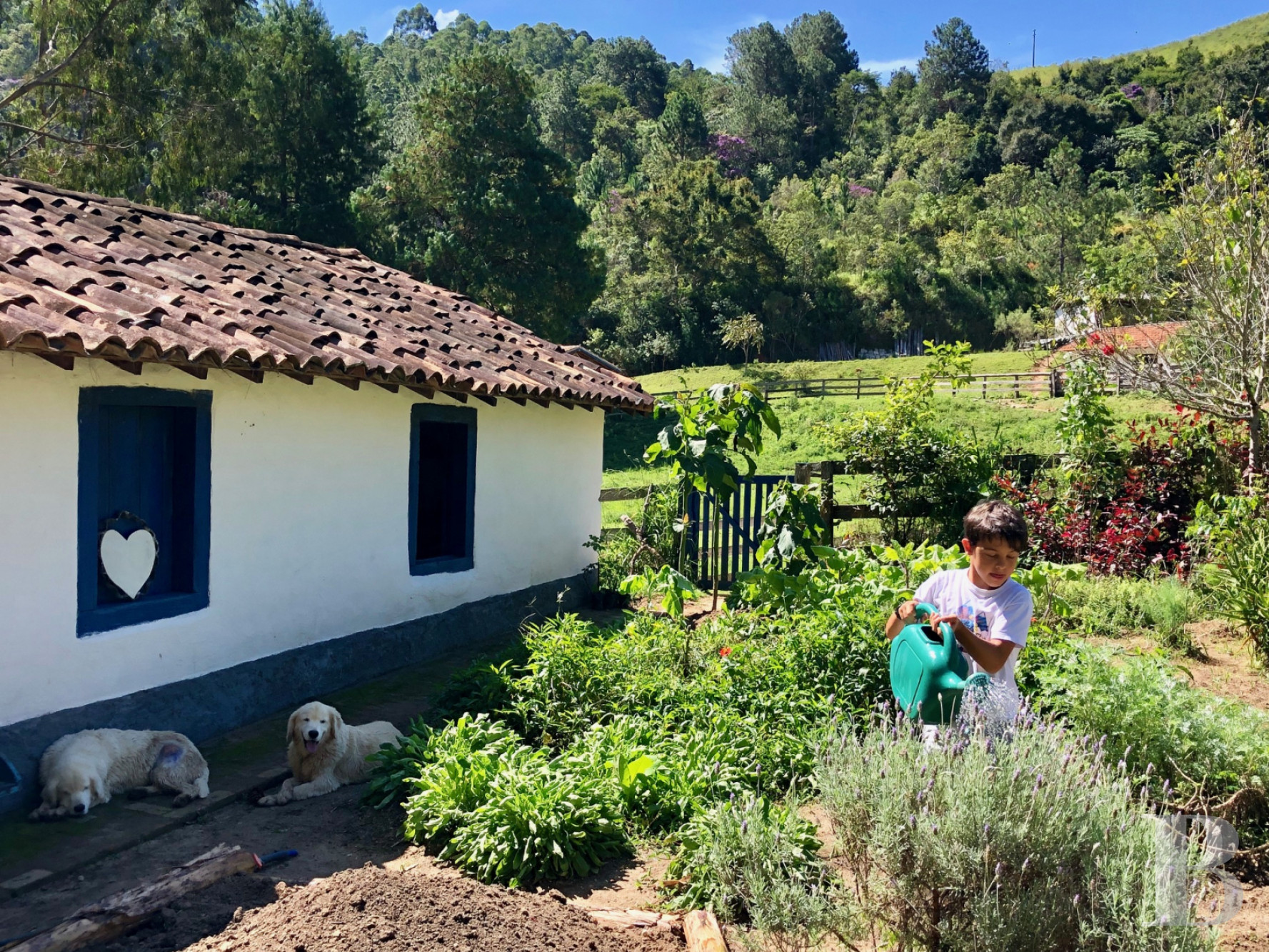 Au Brésil, dans l’État de São Paolo, une fazenda en autosubsistance dédiée à l’art et à la nature - photo  n°11