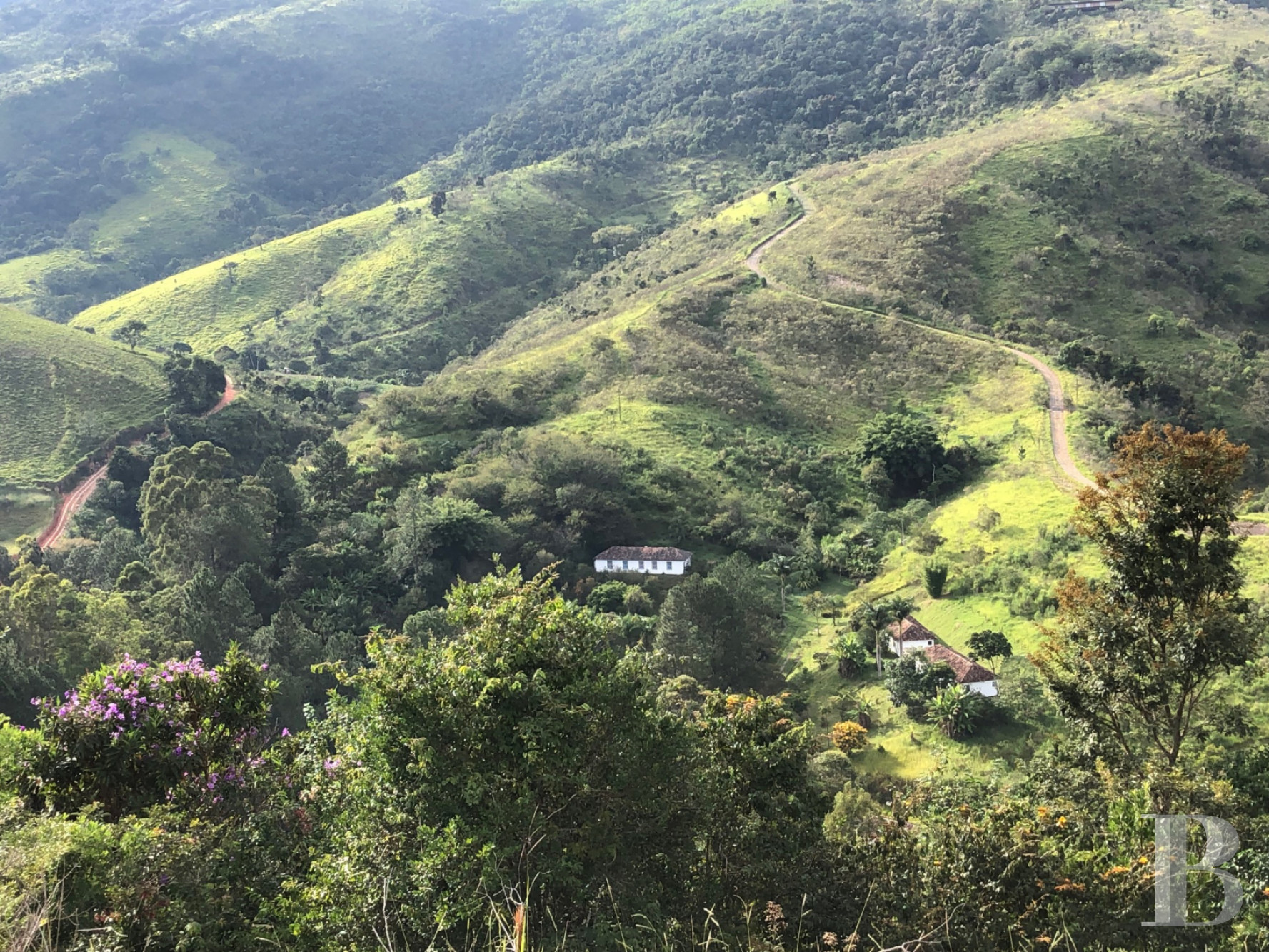 Au Brésil, dans l’État de São Paolo, une fazenda en autosubsistance dédiée à l’art et à la nature - photo  n°2