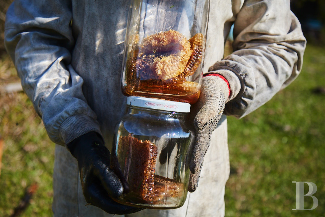 Au Brésil, dans l’État de São Paolo, une fazenda en autosubsistance dédiée à l’art et à la nature - photo  n°31