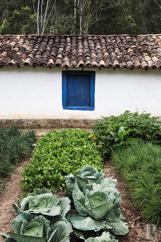 Au Brésil, dans l’État de São Paolo, une fazenda en autosubsistance dédiée à l’art et à la nature - photo  n°9