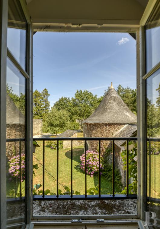 France mansions for sale pays de loire   - 23