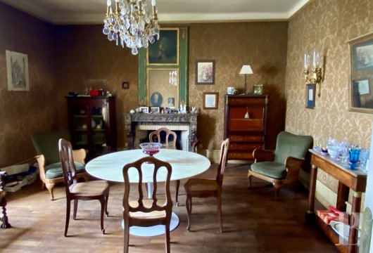 mansion houses for sale France pays de loire   - 10