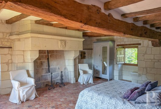 France mansions for sale pays de loire   - 11