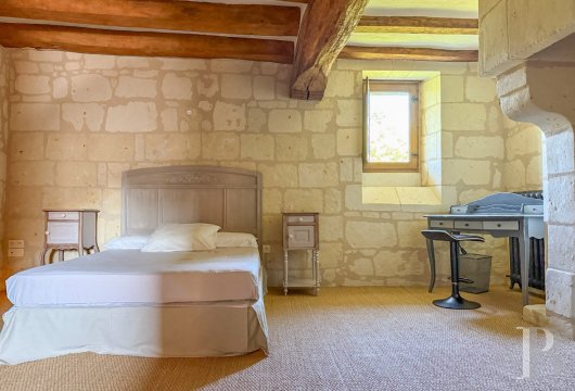 France mansions for sale pays de loire   - 13